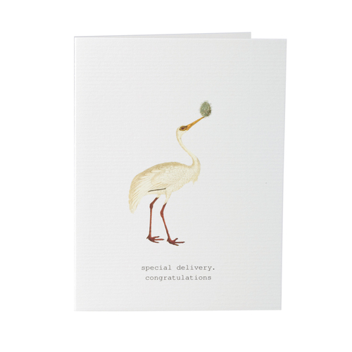 Special Delivery - New Baby Card