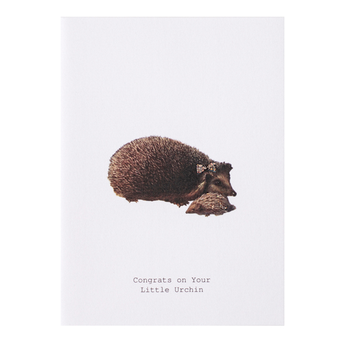 Little Urchin - New Baby Greeting Card 
