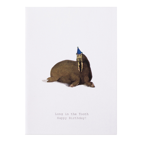 Long In The Tooth - Birthday Card