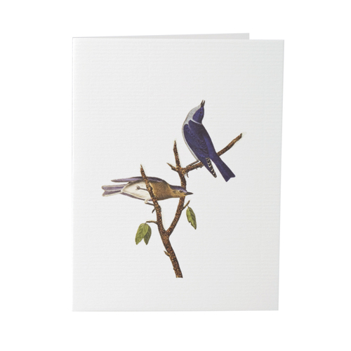 Blue Birds - Greeting Card