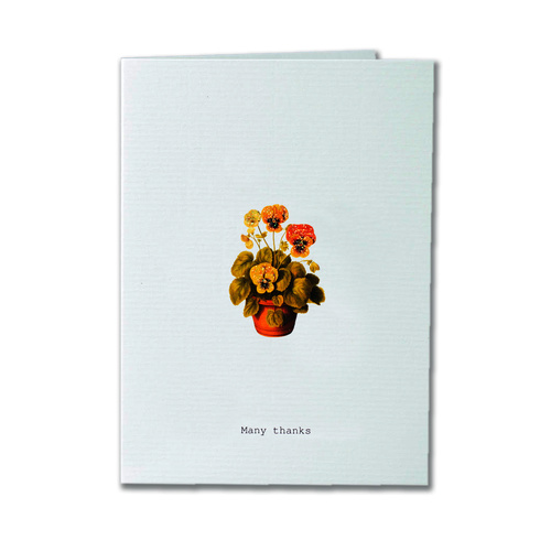 Many Thanks - Thank You Card