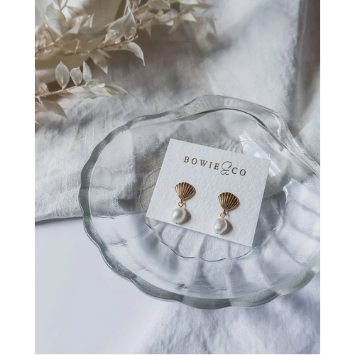 Oceania Clam Shell Earrings - Gold