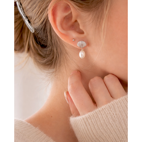 Oceania Clam Shell Earrings - Silver