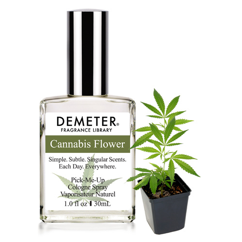 Cannabis Flower - Cologne Spray