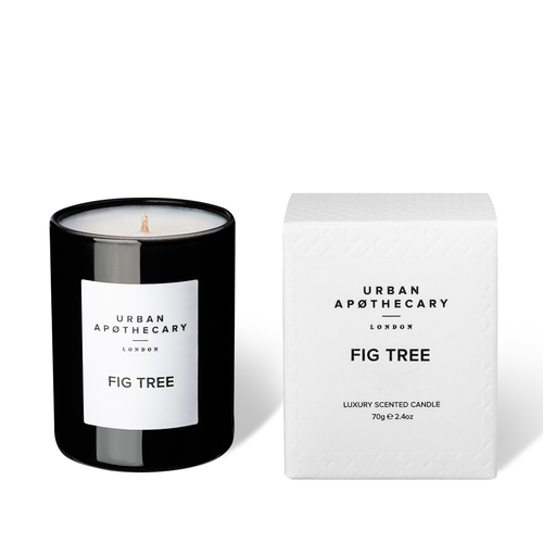 Fig Tree - Mini Boxed Candle 